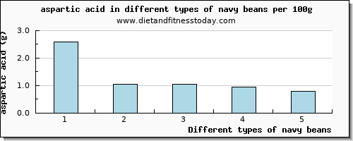 navy beans aspartic acid per 100g